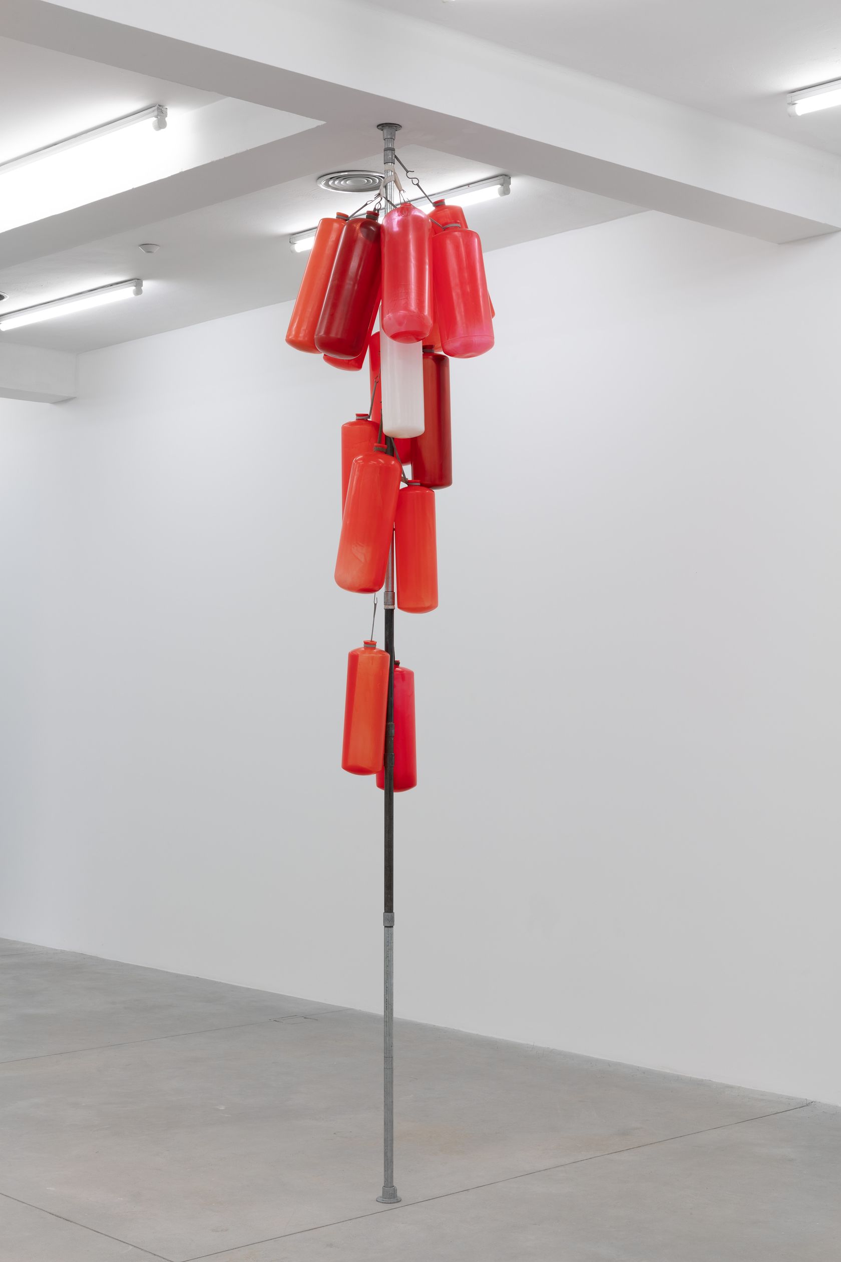 Phillip Lai, Expulsions, 2019