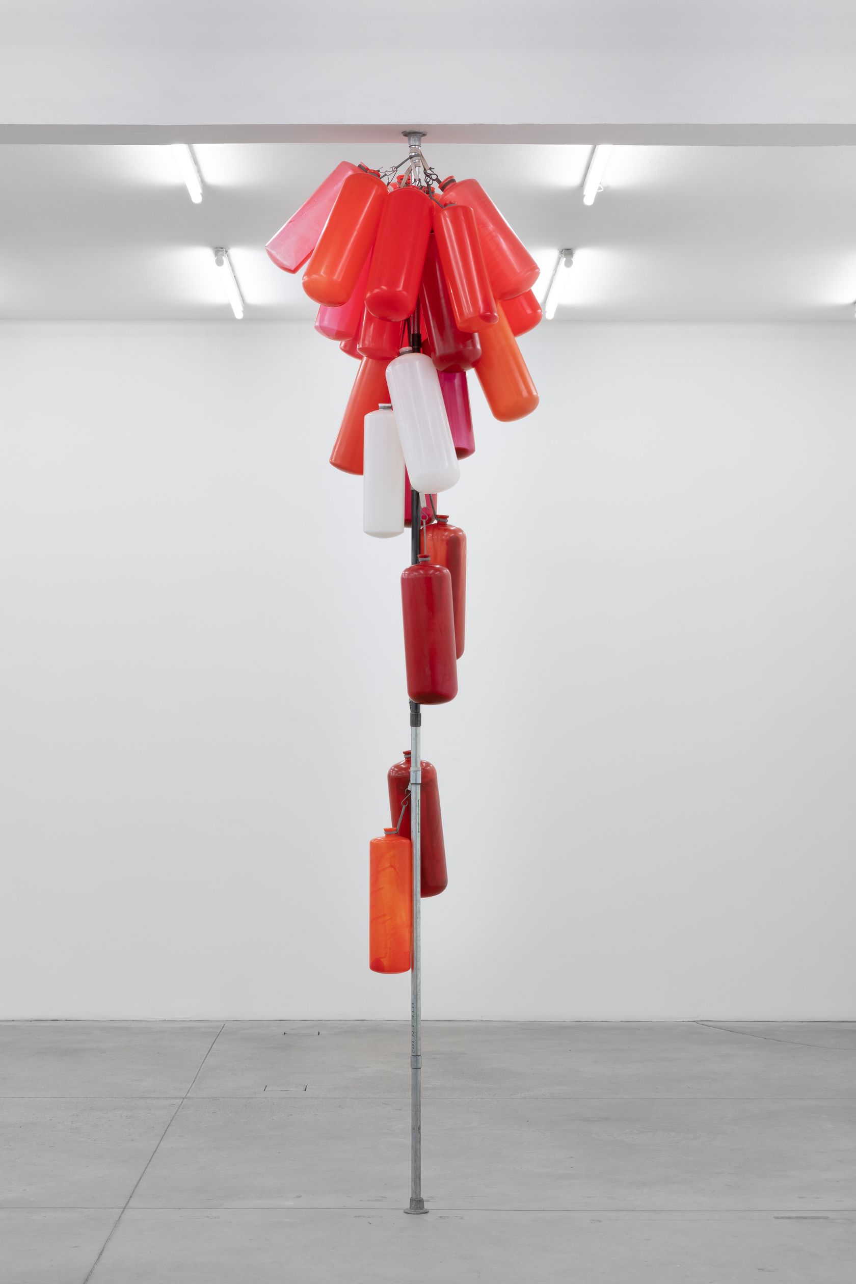 Phillip Lai, Expulsions, 2019