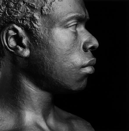 Robert Mapplethorpe, Black Bust, 1988