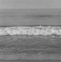 Robert Mapplethorpe, Waves, 1981