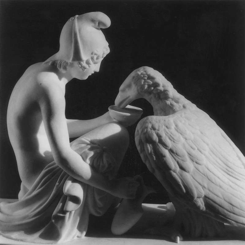 Robert Mapplethorpe, Ganymede with Jupiter's Eagle, 1988