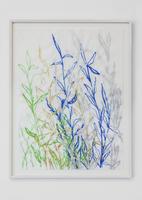 Sam Falls, Untitled (Winter barley, Hudson, New York) , 2016