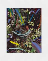 Sam Falls, Nest, 2019