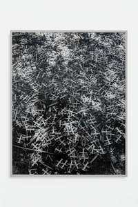 Sam Falls, Heart and Lungs, 2016