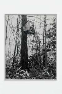 Sam Falls, Mercy seat, 2016