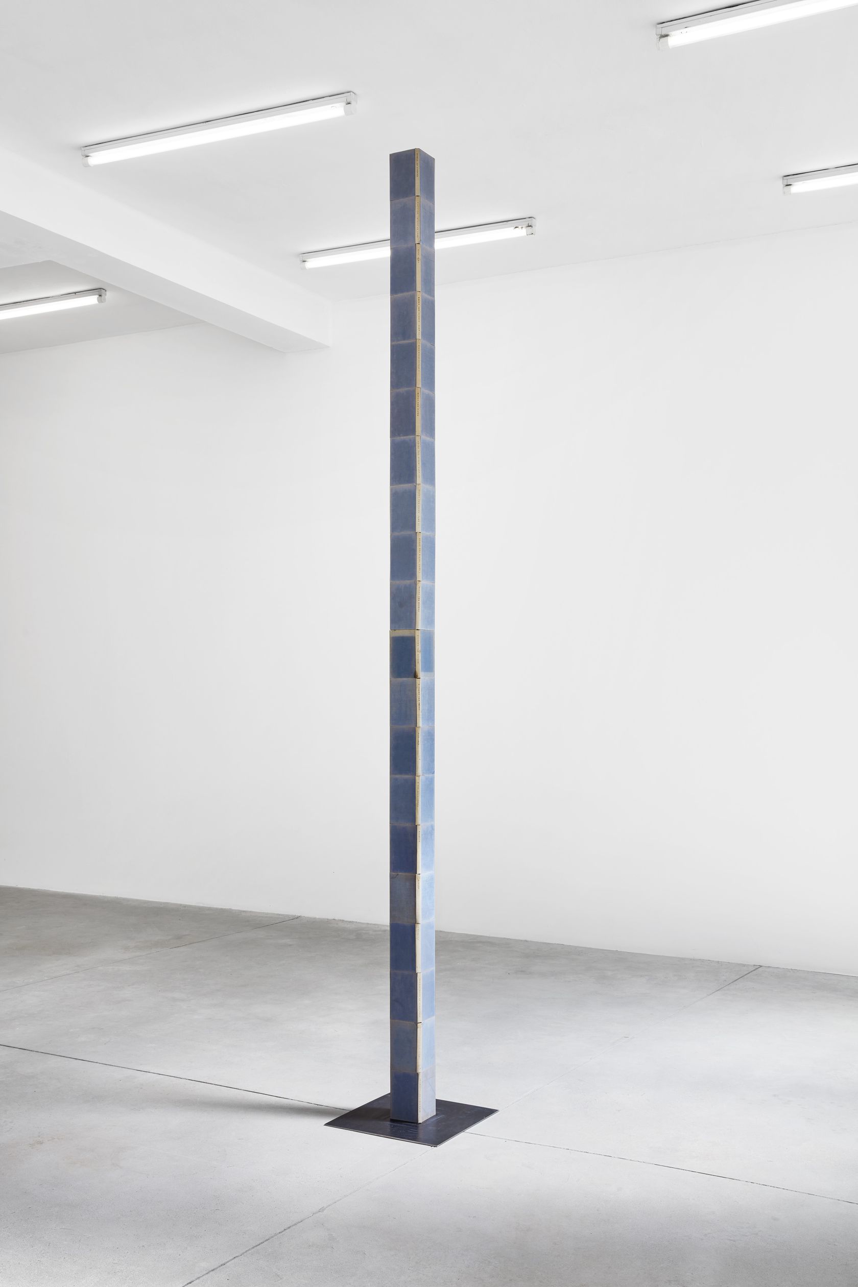 Sam Falls, Shakespeare Family Tree Books, 2019