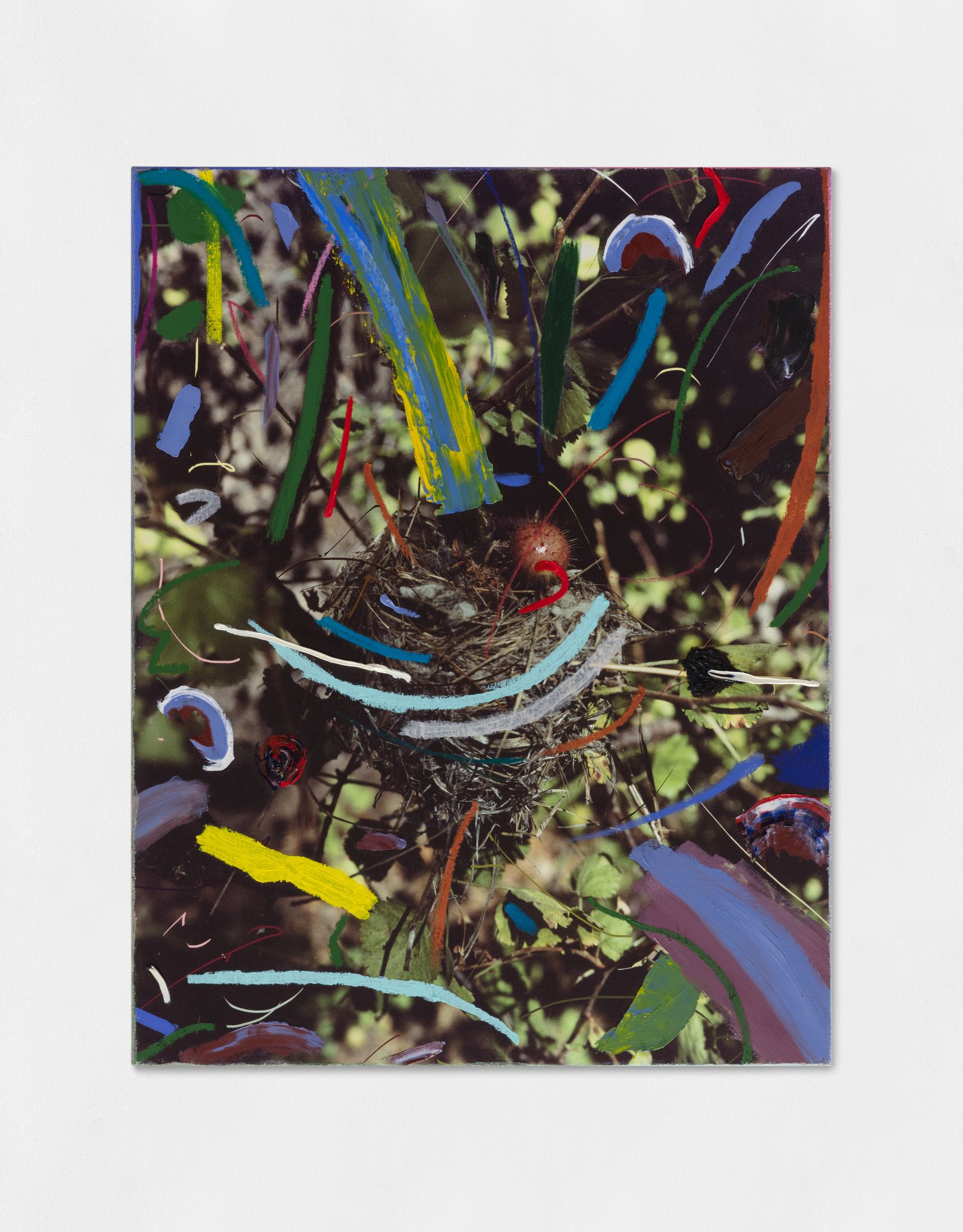 Sam Falls, Nest, 2019