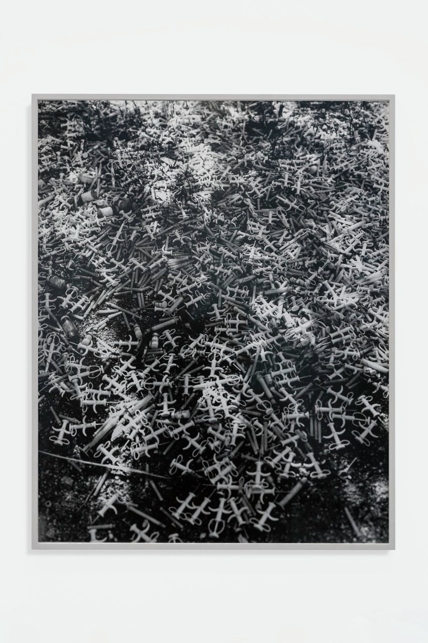 Sam Falls, Heart and Lungs, 2016
