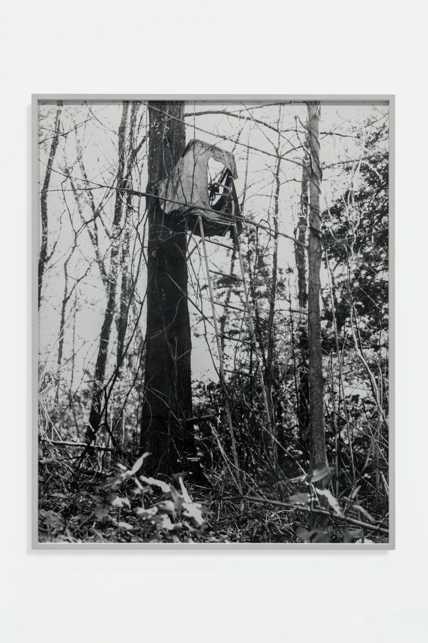 Sam Falls, Mercy seat, 2016