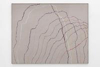 Sam Falls, Untitled (Petrified wood, Petrified Forest National Park, Arizona), 2015