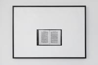 Simon Starling, That Admirable Specimen of Fine ArtA black and white photograph of a woven reproduction of a digital image of pa