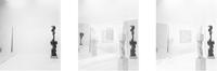 Simon Starling, Pictures for an Exhibition, 2013-2014
