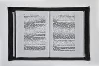 Simon Starling, That Admirable Specimen of Fine ArtA woven reproduction of a digital image of pages 306 and 307 of Passages from