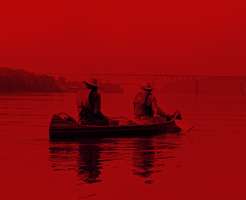 Simon Starling, Red Rivers (In Search of the Elusive Okapi), 2009