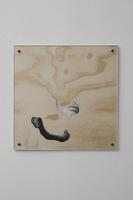 Tom Burr, Beard Board, 2011