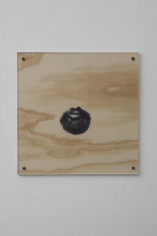 Tom Burr, Beard Board, 2011