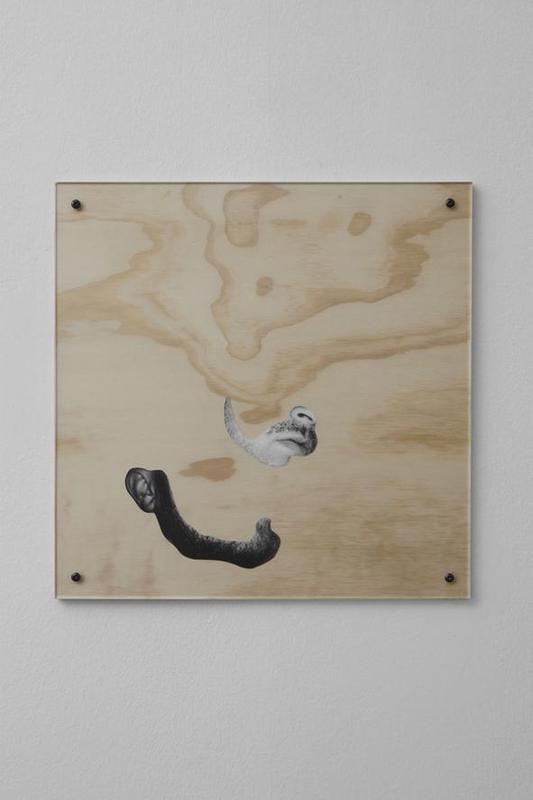 Tom Burr, Beard Board, 2011