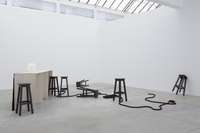 Tom Burr, drunk emily (drinking, drowning. Elizabeth Barret Browning.), 2014
