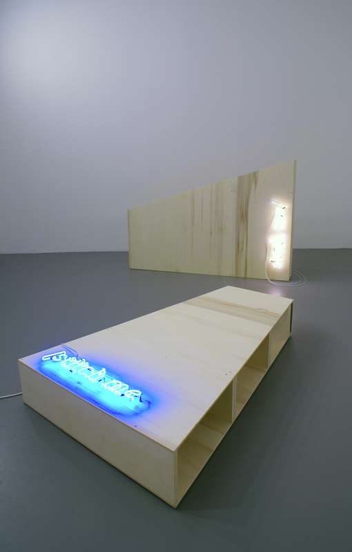 Tom Burr, Slash Me/Stitch Me, 2008