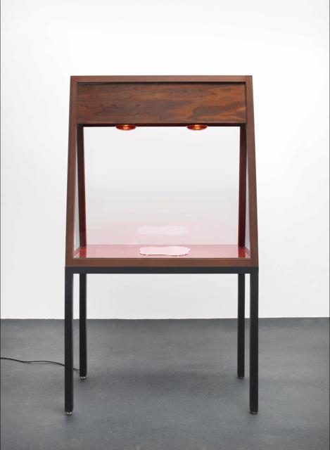 Mario García Torres, The Shape of Memory, None