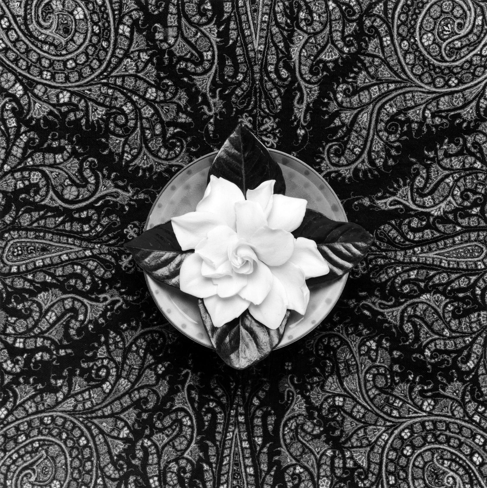 Robert Mapplethorpe, Gardenia, 1987
